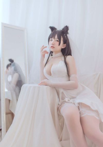 时光代理人第三季免费观看完整版