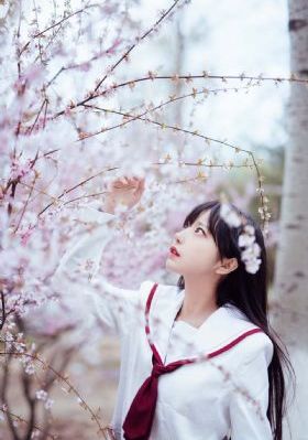 总受综漫里被各种h总受